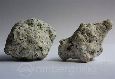 ambergriz|Ambergris Definition & Meaning